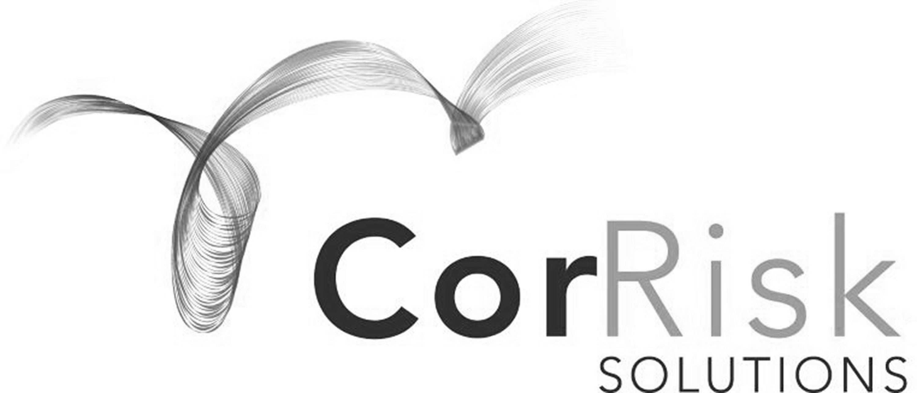 CorRisk Logo