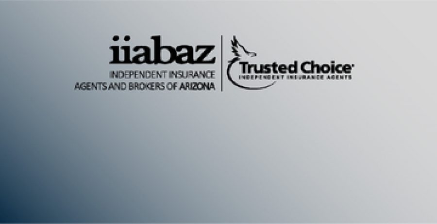 IIBAZ Names ePayPolicy as their preferred vendor for payment processing1-13-04
