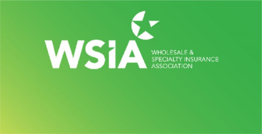 Lets connect at the 2019 WSIA Marketplace event-12