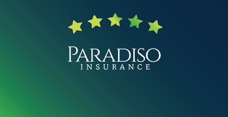 Paradiso Insurance - Client Spotlight Series